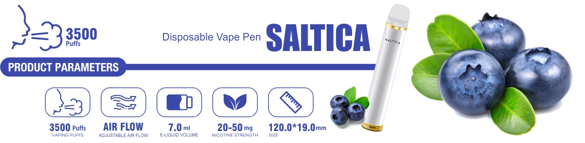 Saltica Blueberry Ice Disposable Vape Pen Açıklama